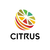 Citrus Markets - CTSBTC
