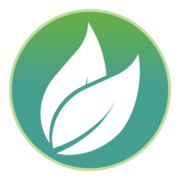 Integrated Green Energy ... (IGE)의 로고.