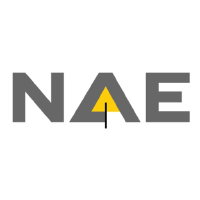 New Age Exploration (NAE)의 로고.