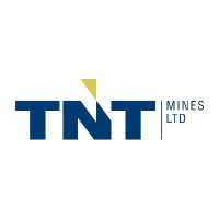 TNT Mines (TIN)의 로고.