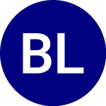 BlackRock Large Cap Valu... (BLCV)의 로고.