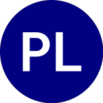 P L C Systems (PLC)의 로고.