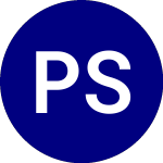 PortfolioPlus S&P 500 ETF (PPLC)의 로고.
