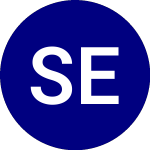 SEI Enhanced Low Volatil... (SELV)의 로고.