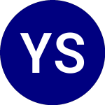 YieldMax SQ Option Incom... (SQY)의 로고.