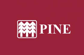 의 로고 PINE PN