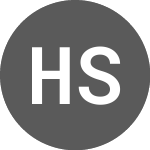 Hyper Speed Network (HSNTUSD)의 로고.