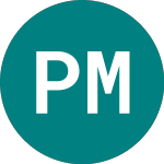 Polymet Mining (0VD6)의 로고.