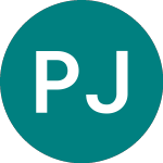 Perpetual Japanese (PJI)의 로고.