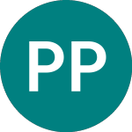 Plutus Powergen (PPG)의 로고.