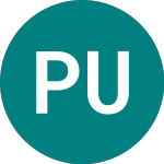 Premier Uk Dual Return Trust (PUKC)의 로고.