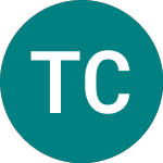Tau Capital (TAU)의 로고.