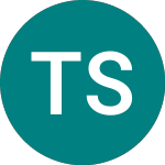 Test Stock 15 (TE15)의 로고.
