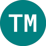 Technology Minerals (TM1)의 로고.