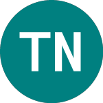  (TNS)의 로고.