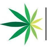 American Cannabis (QB) (AMMJ)의 로고.