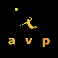 AVP (CE) (AVPI)의 로고.