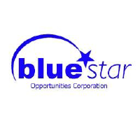 Blue Star Opportunities (PK) (BSTO)의 로고.
