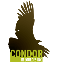 Condor Res (PK) (CNRIF)의 로고.