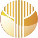Golden Grail Technology (PK) (GOGY)의 로고.