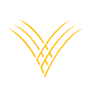 Golden Valley Bancshares (PK) (GVYB)의 로고.