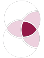 Hadasit Bio (CE) (HSITF)의 로고.