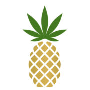 Pineapple (PK) (PNPL)의 로고.
