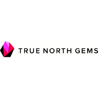 True North Gems (PK) (TNGMF)의 로고.