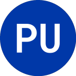 Platinum Underwritrs (PTP)의 로고.