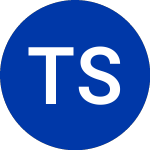 Telecom Sao Paulo (TSP)의 로고.