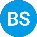 (BCDS)의 로고.
