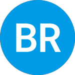 Burning Rock Biotech (BNR)의 로고.