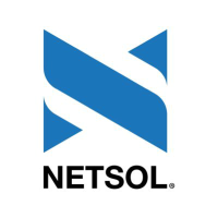 NetSol Technologies (NTWK)의 로고.