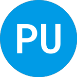 Pacific Union Bank (PUBB)의 로고.
