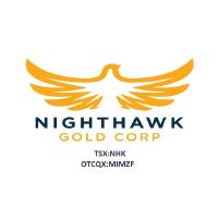 Nighthawk Gold (NHK)의 로고.
